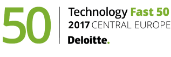 deloitte 2017 award